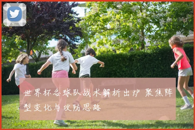 世界杯各球队战术解析出炉 聚焦阵型变化与攻防思路