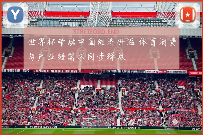 世界杯带动中国经济升温 体育消费与产业链需求同步释放