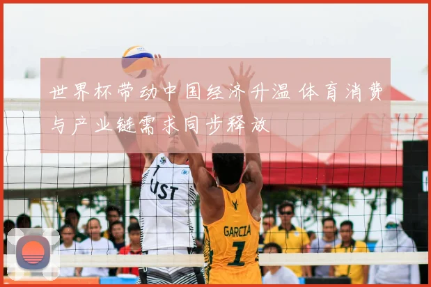 世界杯带动中国经济升温 体育消费与产业链需求同步释放
