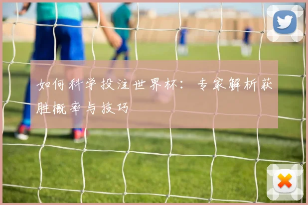 如何科学投注世界杯:专家解析获胜概率与技巧