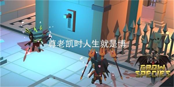 尊老凯时人生就是博