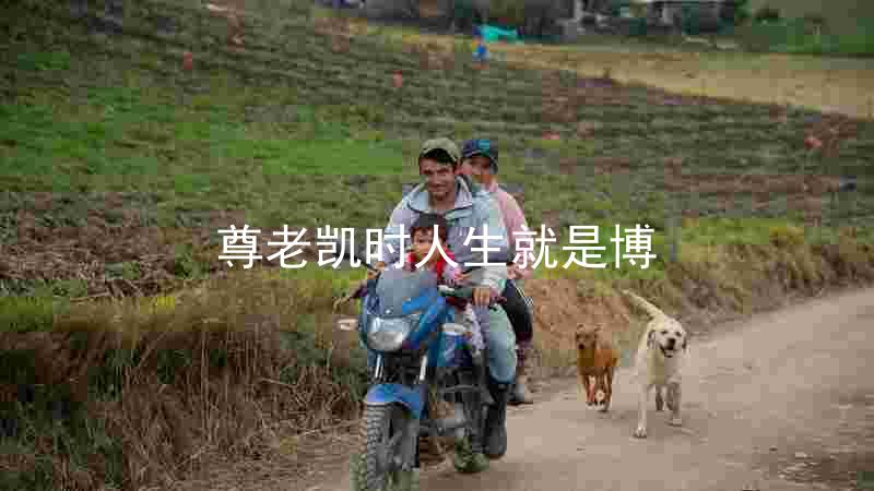 尊老凯时人生就是博