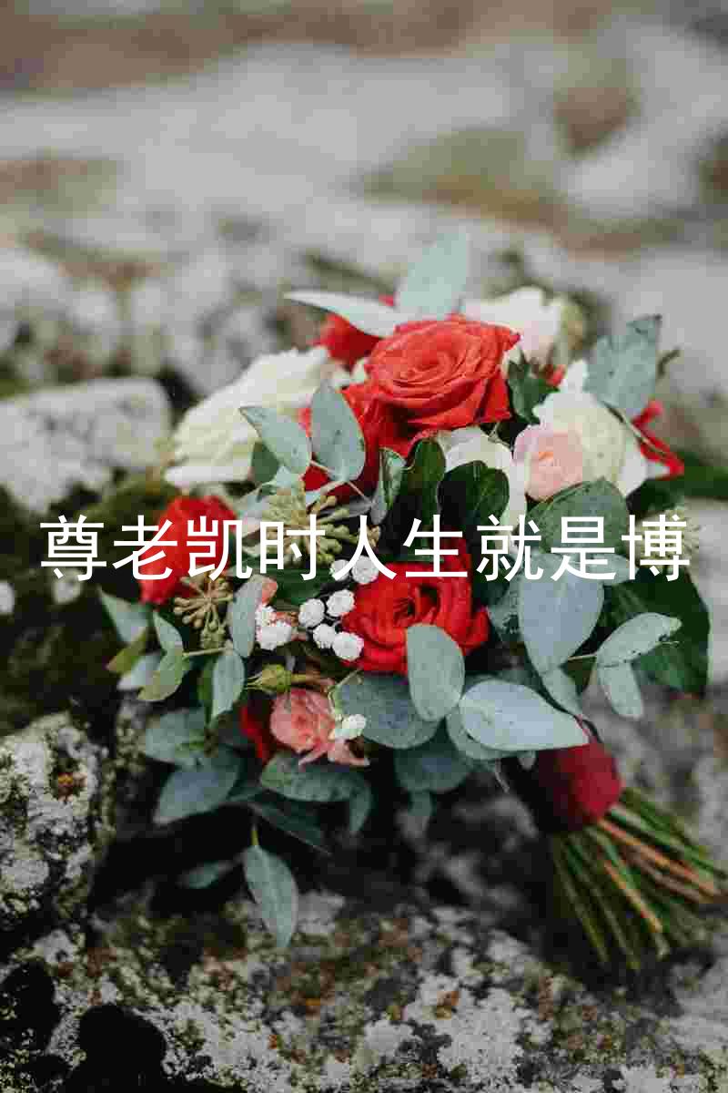 尊老凯时人生就是博
