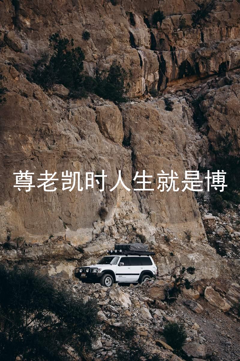 尊老凯时人生就是博