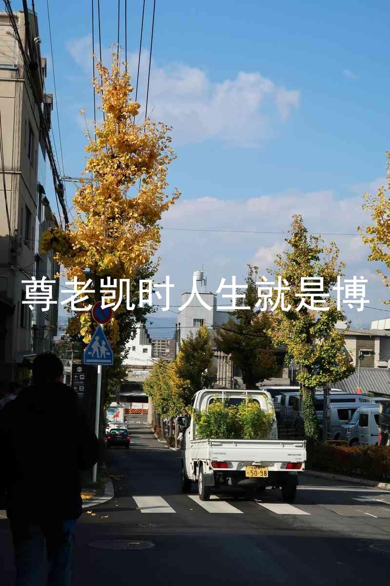 尊老凯时人生就是博