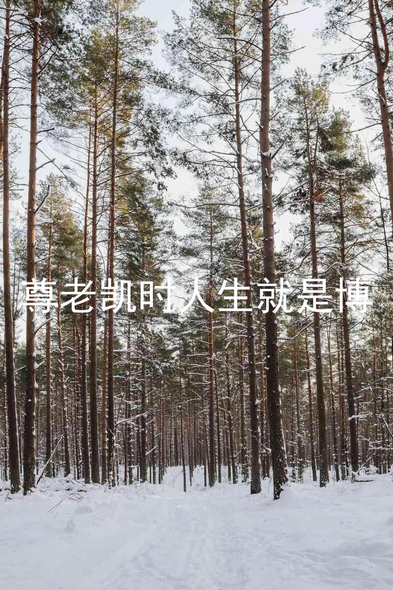 尊老凯时人生就是博