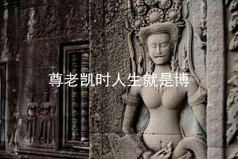 尊老凯时人生就是博