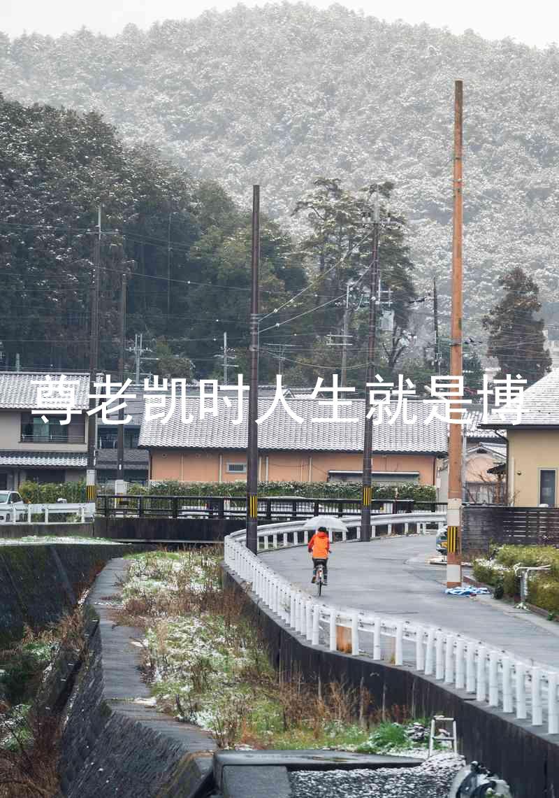 尊老凯时人生就是博