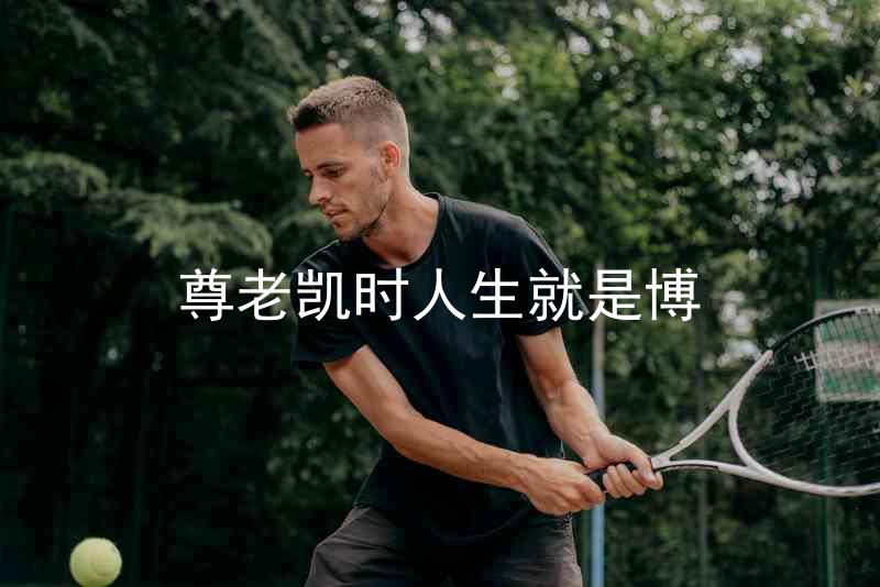 尊老凯时人生就是博